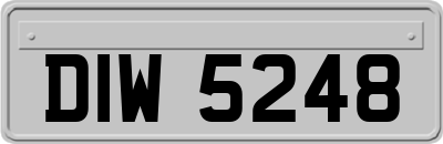 DIW5248