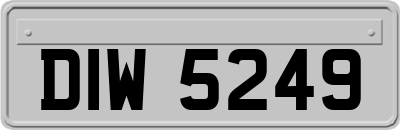 DIW5249