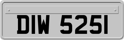 DIW5251