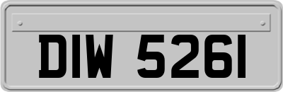 DIW5261