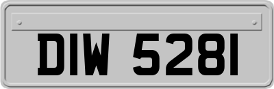 DIW5281