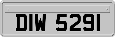 DIW5291