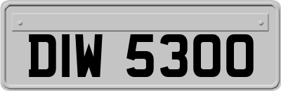 DIW5300