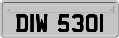 DIW5301