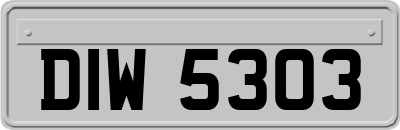 DIW5303