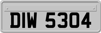 DIW5304