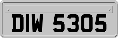 DIW5305