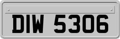 DIW5306