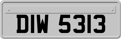 DIW5313