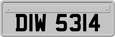 DIW5314