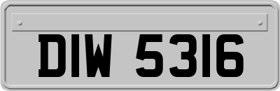 DIW5316