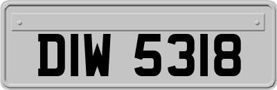 DIW5318