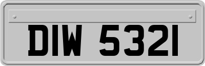 DIW5321