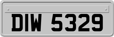 DIW5329