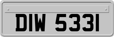 DIW5331