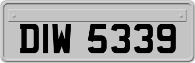 DIW5339