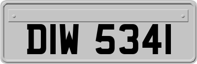 DIW5341