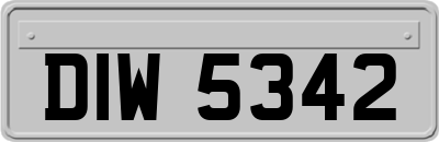DIW5342
