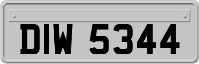 DIW5344