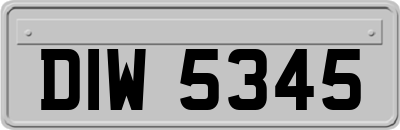 DIW5345