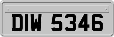 DIW5346