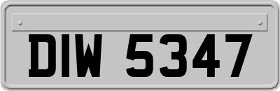 DIW5347