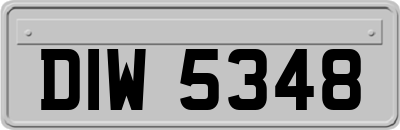 DIW5348