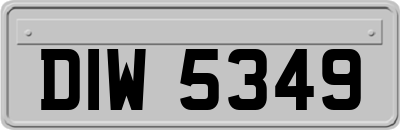 DIW5349