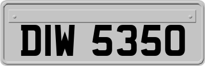 DIW5350