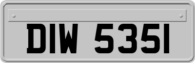 DIW5351