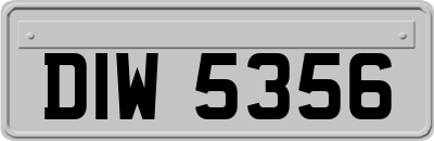 DIW5356