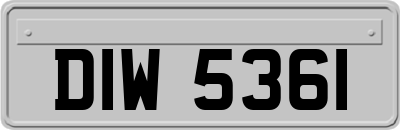 DIW5361