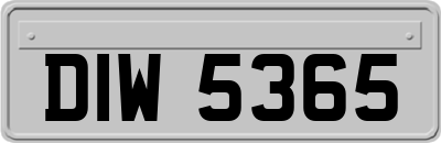 DIW5365