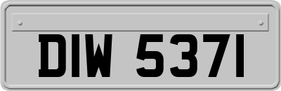 DIW5371