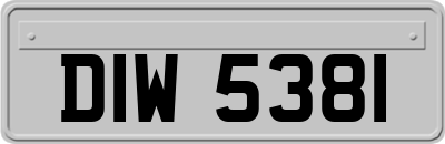 DIW5381