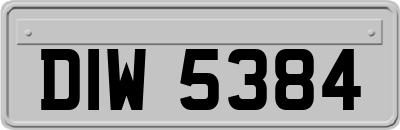 DIW5384