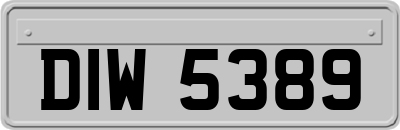 DIW5389