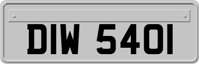 DIW5401