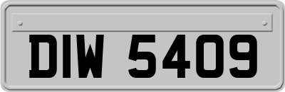 DIW5409