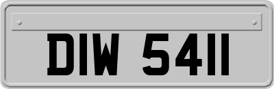 DIW5411