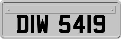 DIW5419