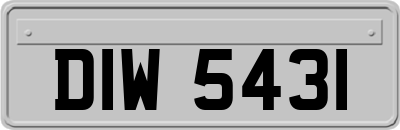 DIW5431