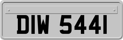 DIW5441