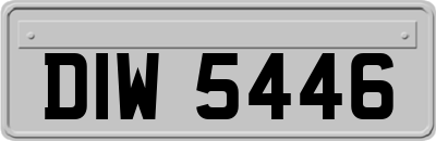 DIW5446