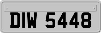 DIW5448