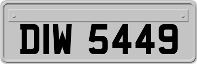 DIW5449
