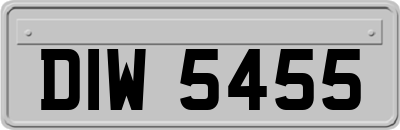 DIW5455