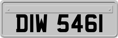 DIW5461