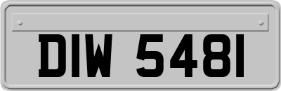 DIW5481
