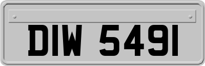DIW5491